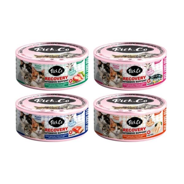 Rich.co 170g Recovery Intensive Support Wet Cat Food