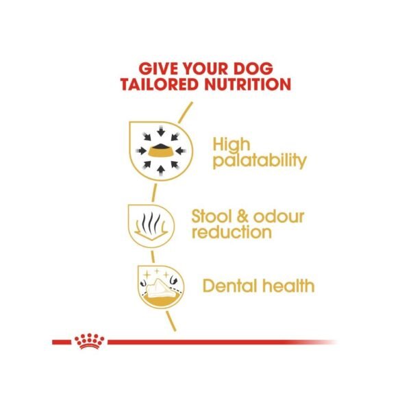 inv_product-1667286542245 Royal Canin Chihuahua Adult 1.5kg Dry Dog Food