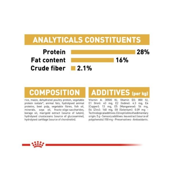 inv_product-1667286542403 Royal Canin Chihuahua Adult 1.5kg Dry Dog Food