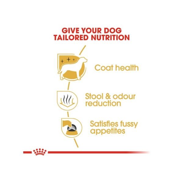 Royal Canin Maltese Adult 1.5kg Dry Dog Food
