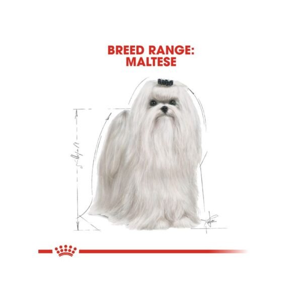 Royal Canin Maltese Adult 1.5kg Dry Dog Food