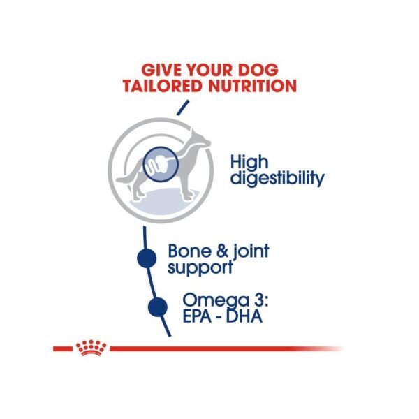 Royal Canin Maxi Adult 15kg Dry Dog Food