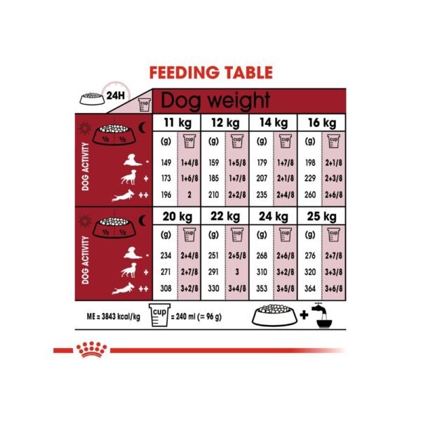 Royal Canin Medium Adult 4kg Dry Dog Food