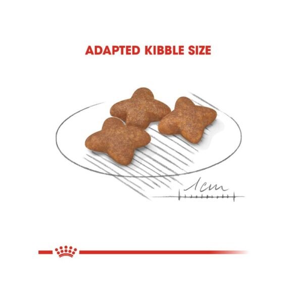 inv_product-1667377107557 Royal Canin Mini Adult 2kg Dry Dog Food