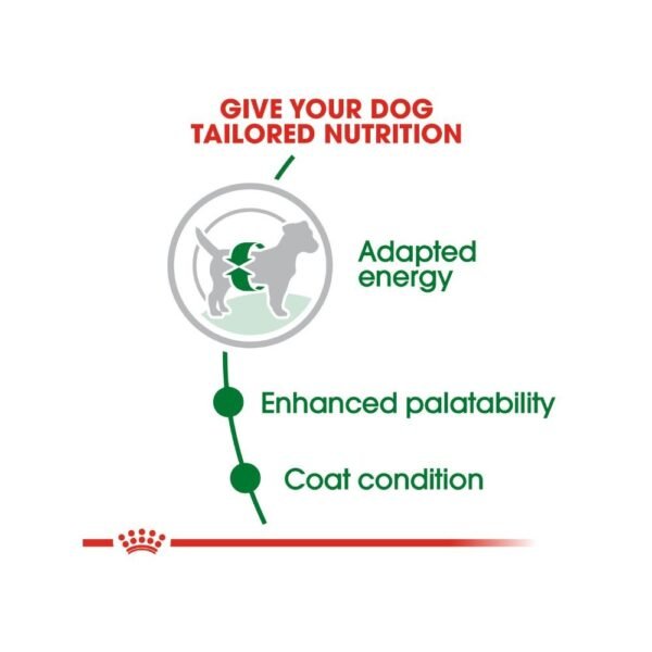 Royal Canin Mini Adult 8kg Dry Dog Food