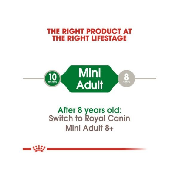Royal Canin Mini Adult 8kg Dry Dog Food