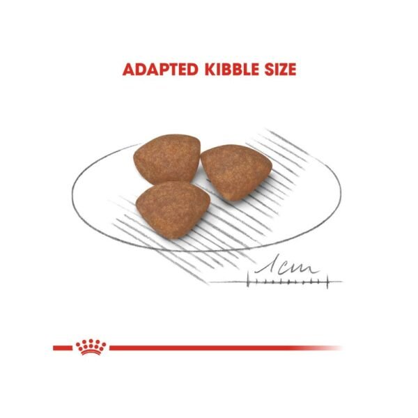 inv_product-1667387529339 Royal Canin Mini Puppy 2kg Dry Dog Food