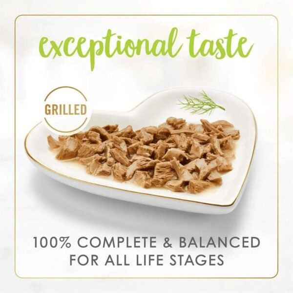 Fancy Feast Grilled Salmon Feast in Gravy