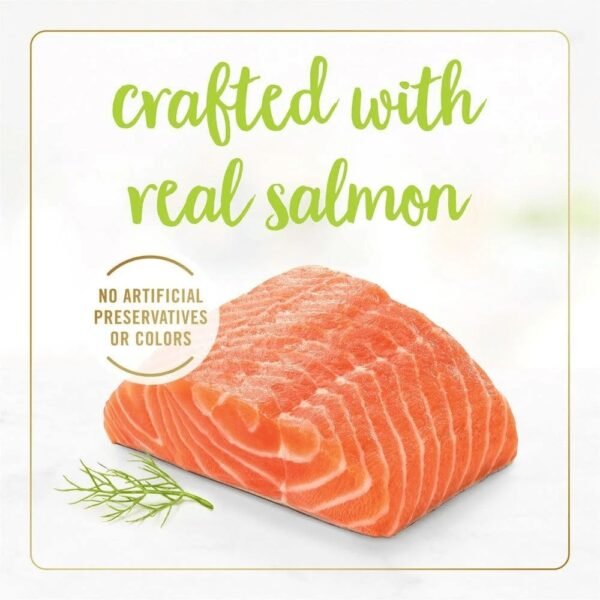 Fancy Feast Grilled Salmon Feast in Gravy