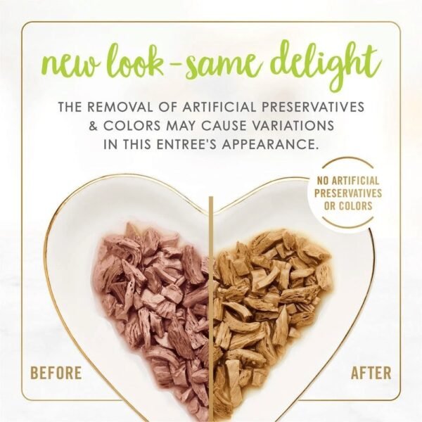 Fancy Feast Grilled Salmon Feast in Gravy