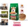 Kitchen Flavor Dog 10kg Nature Gourmet Salmon For Beauty Dog For All Life Stages