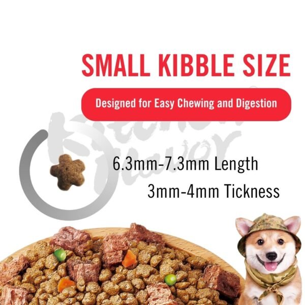 Kitchen Flavor Dog 10kg Nature Gourmet Salmon For Beauty Dog For All Life Stages