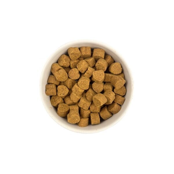 Rich Choice Super Concentrated Lecithin Extract 20 Nuggets