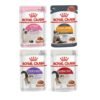 Royal Canin Wet Cat Food In Gravy 85g X12